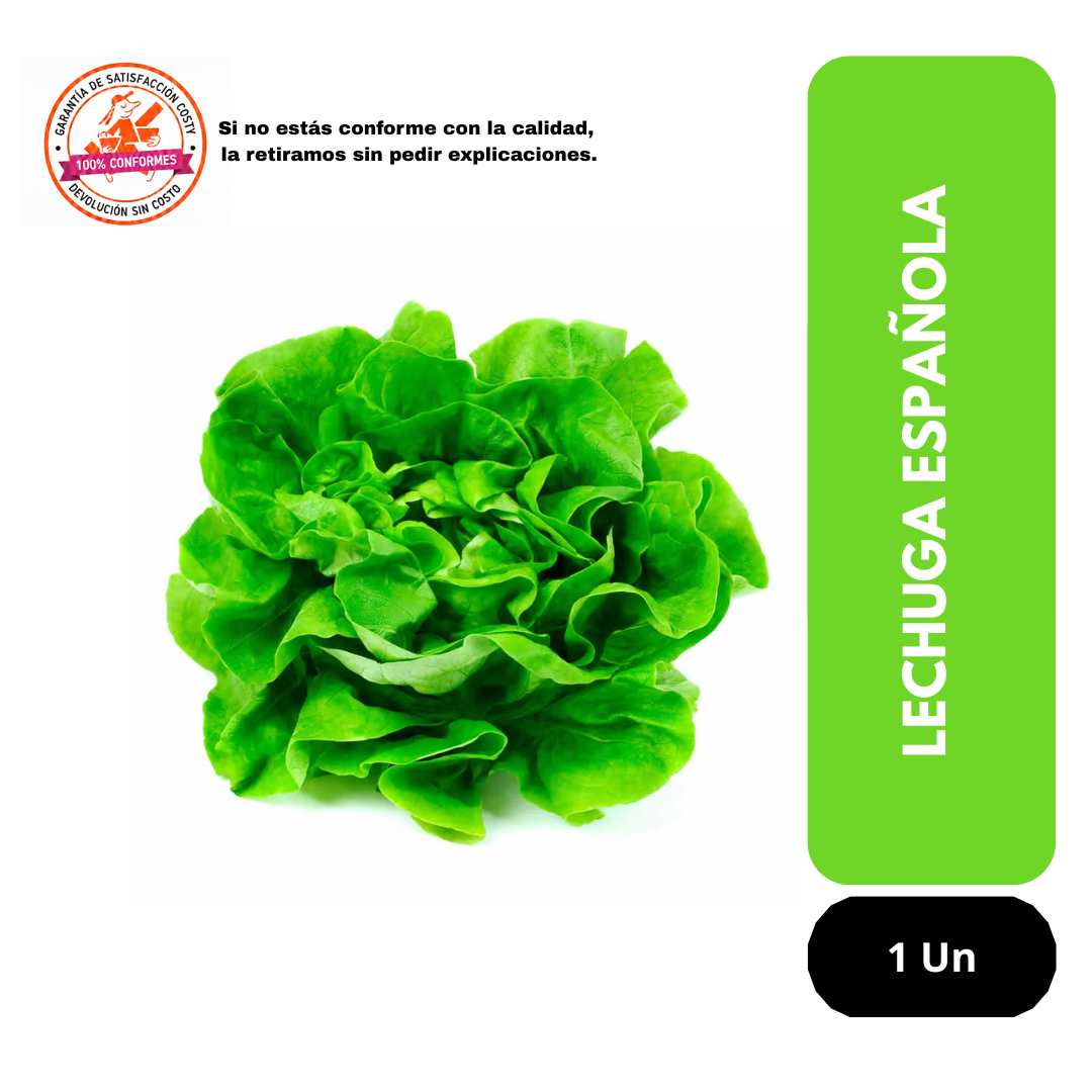 Lechuga Española unidad