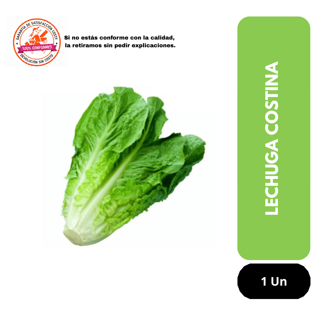 Lechuga Costina unidad
