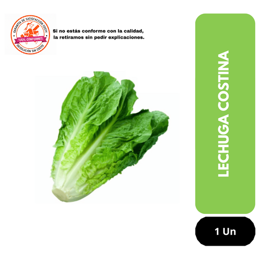 Lechuga Costina unidad
