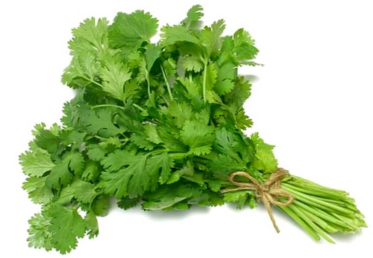 Cilantro 120 gramos
