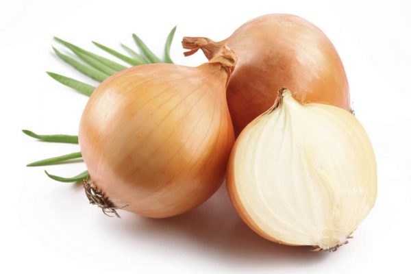Cebolla blanca unidad