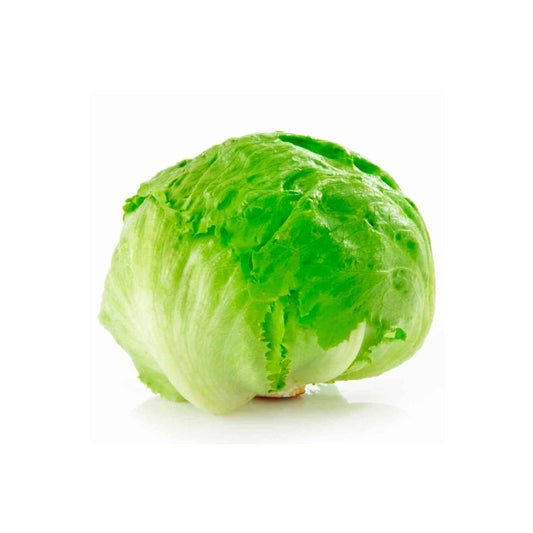 Lechuga escarola unidad